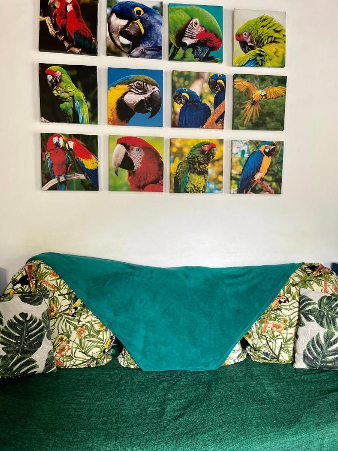 Hostel Papagaio Abraão Zewnętrze zdjęcie